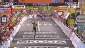 Christophe Laporte odniósł triumf na 19. etapie Tour de France