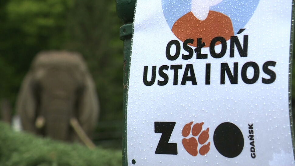 Zoo w Gdańsku ponownie otwarte. Zwierzęta czekają na odwiedzających